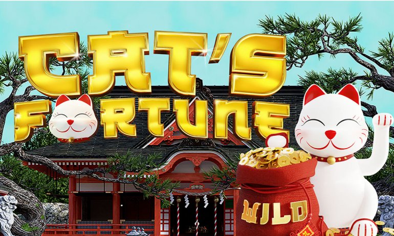 CatsFortune_Ov
